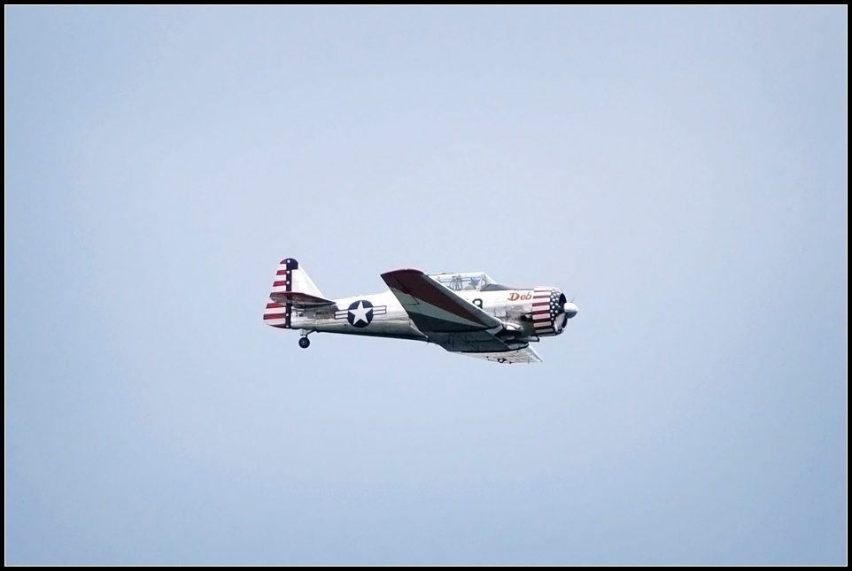 DSC_9981_1.jpg