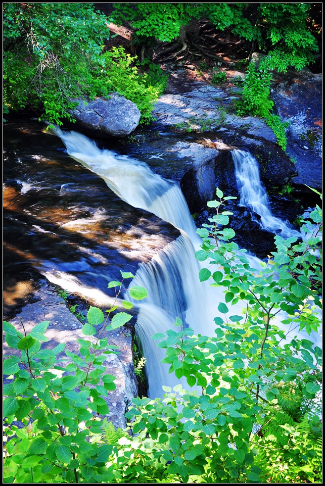 DSC_1147_1.jpg