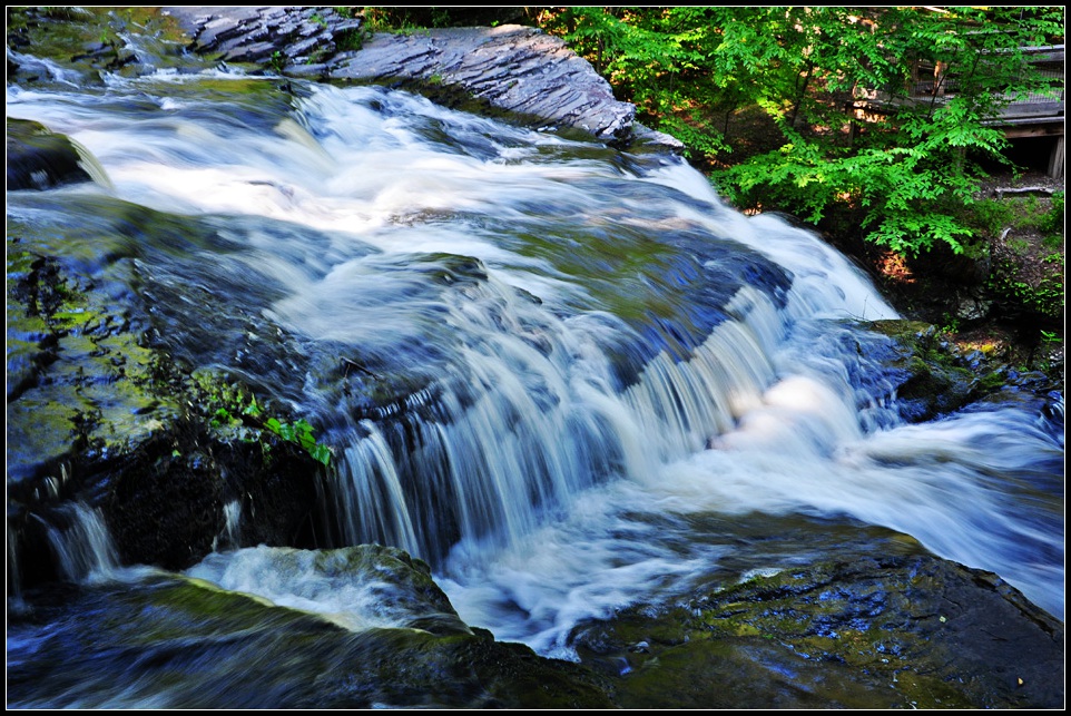 DSC_1156_1.jpg