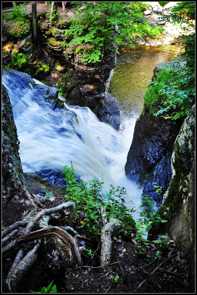 DSC_1168_1.jpg