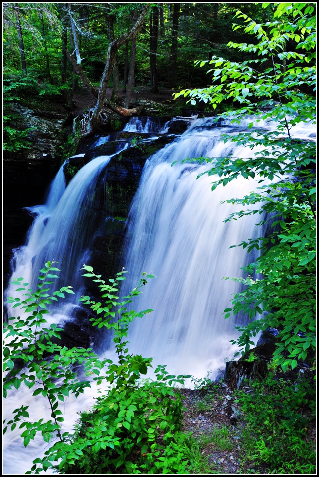 DSC_1303_1.jpg