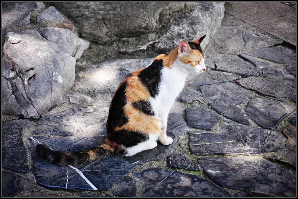 DSC_2857_1.jpg