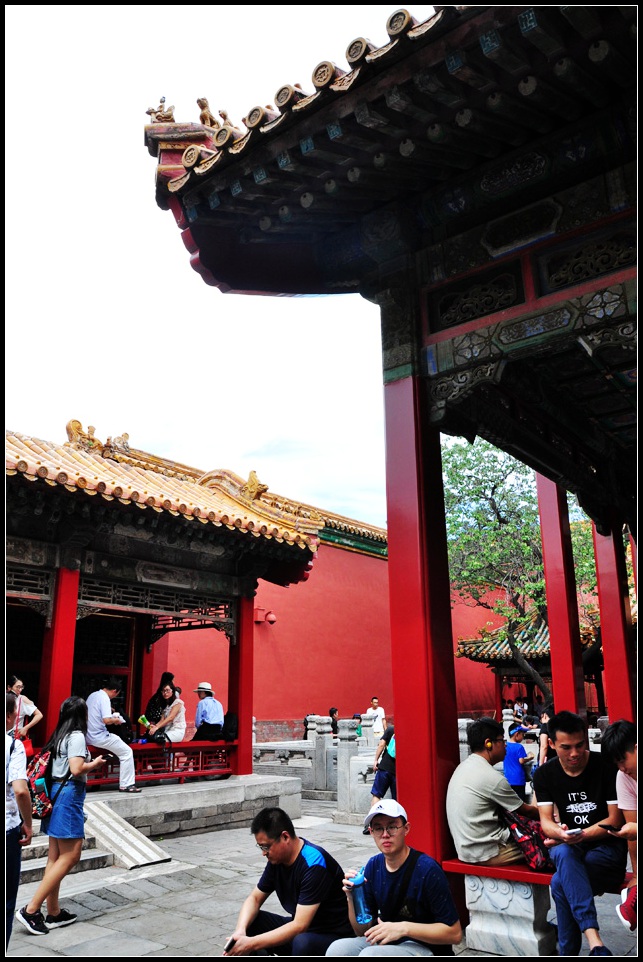 DSC_3805_1.jpg