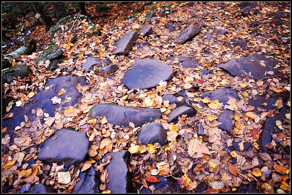 DSC_4593_1.jpg
