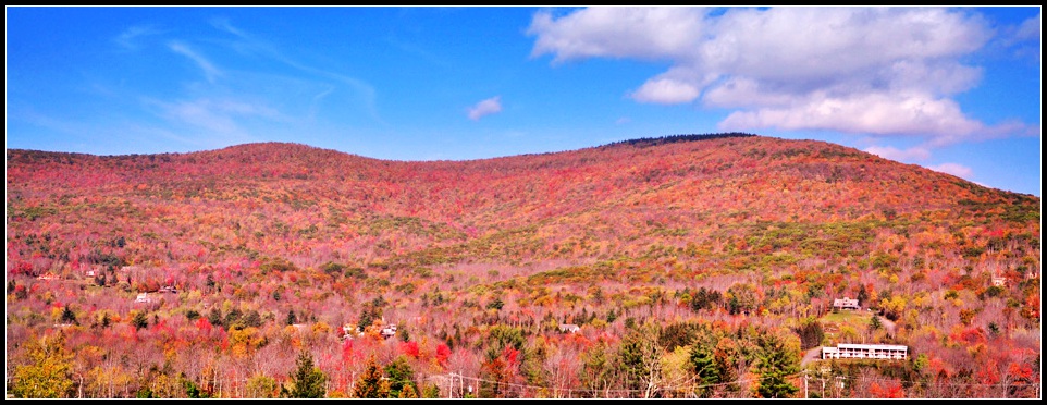 DSC_4815_1.jpg