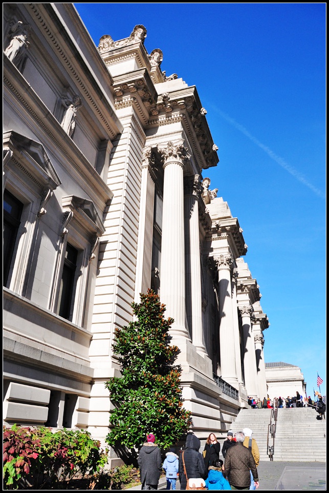 DSC_5302_1.jpg