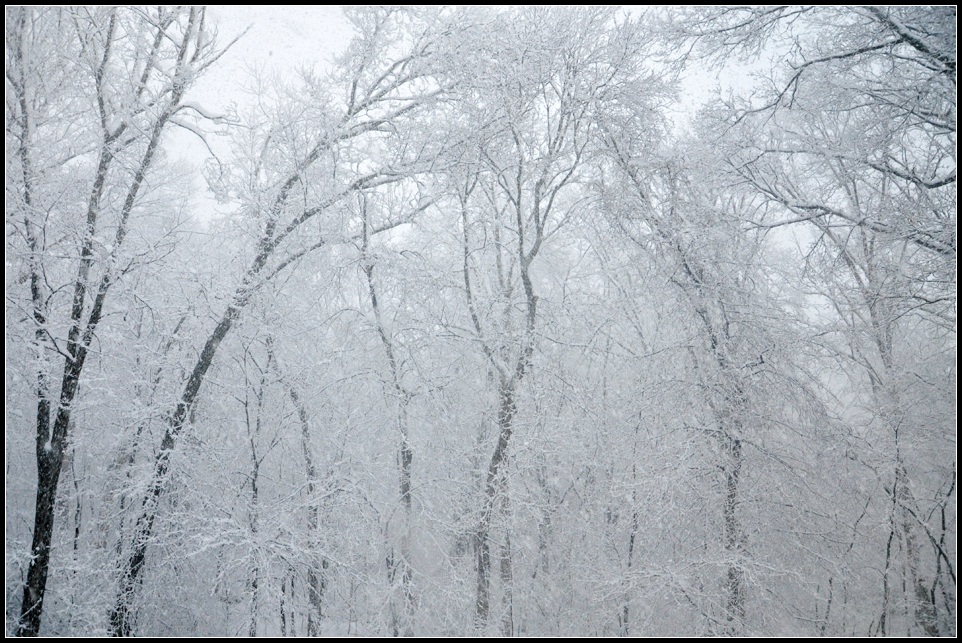 DSC_0909_1.jpg