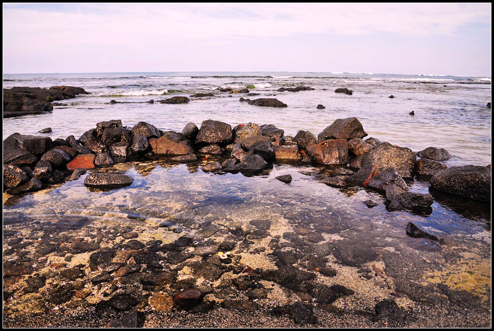 DSC_5866_1.jpg