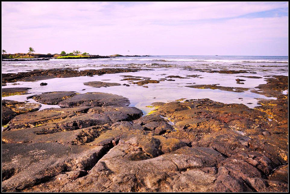 DSC_5872_1.jpg
