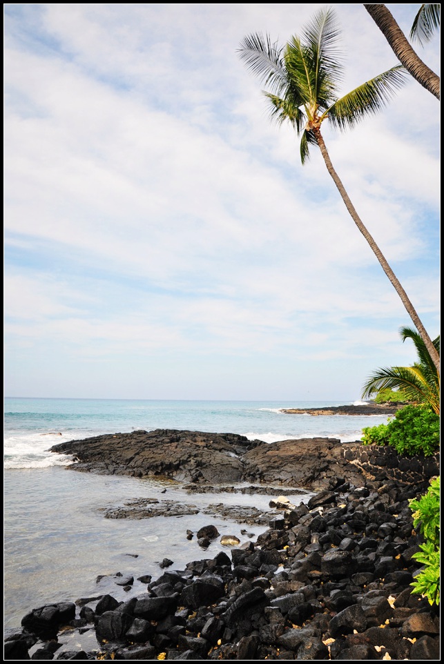 DSC_5998_1.jpg