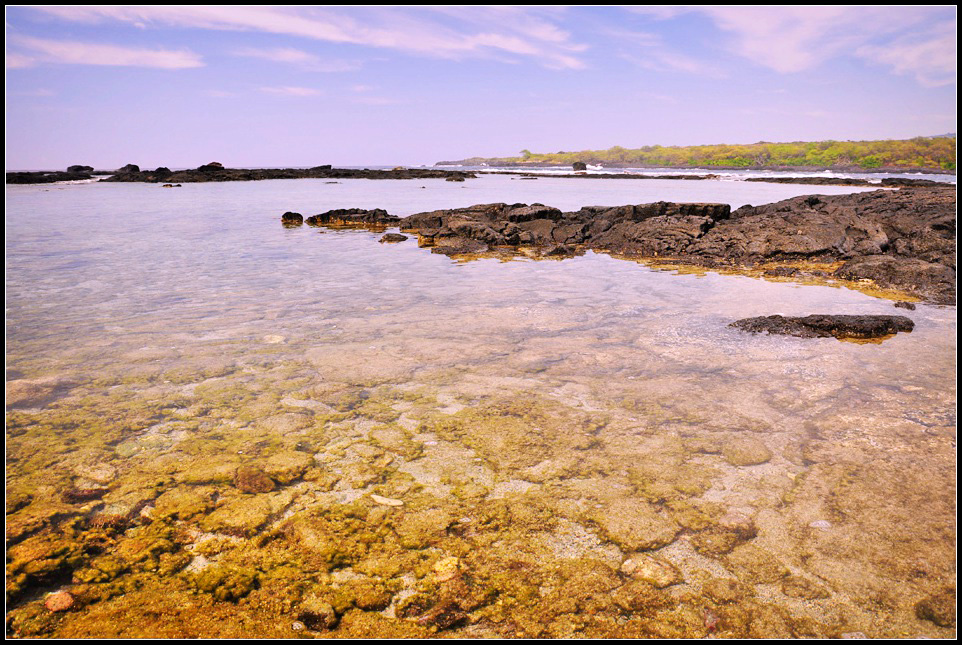 DSC_6143_1.jpg