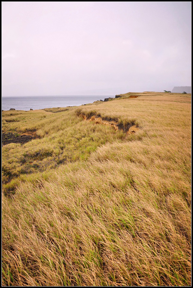 DSC_6312_1.jpg