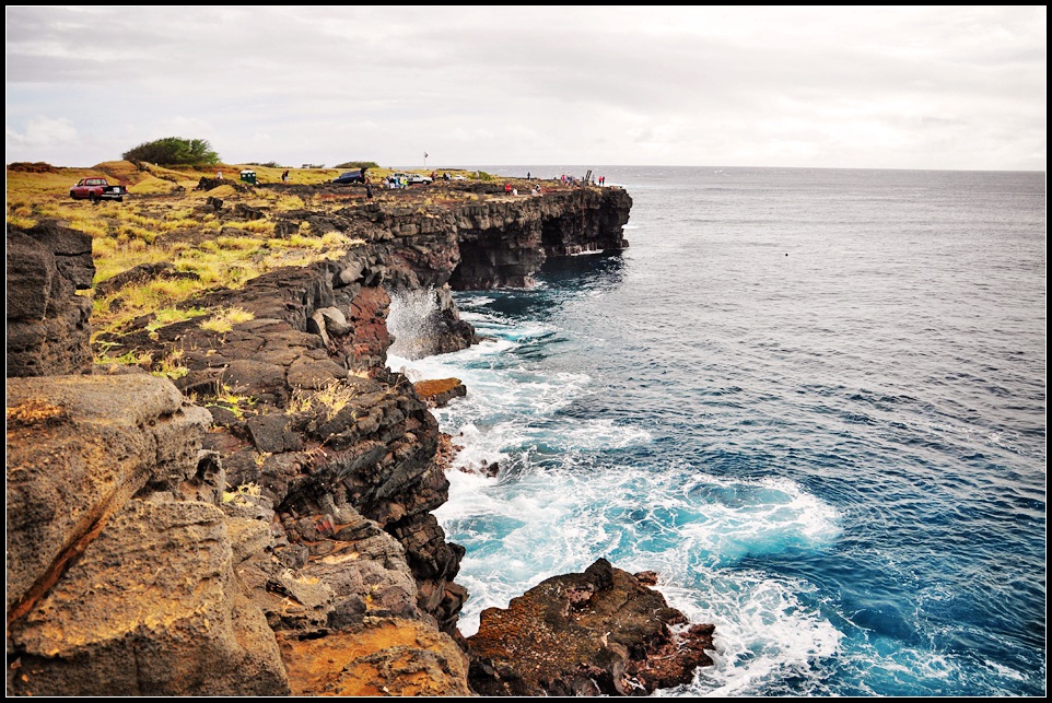 DSC_6335_1.jpg