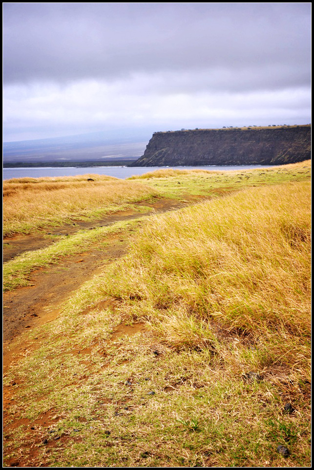 DSC_6396_1.jpg