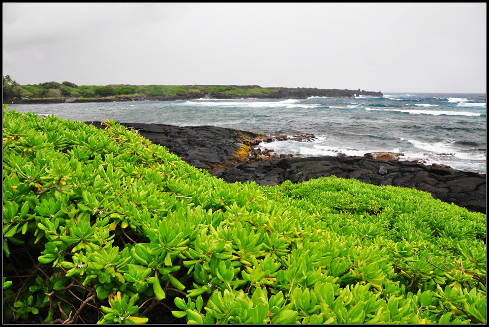 DSC_6418_1.jpg