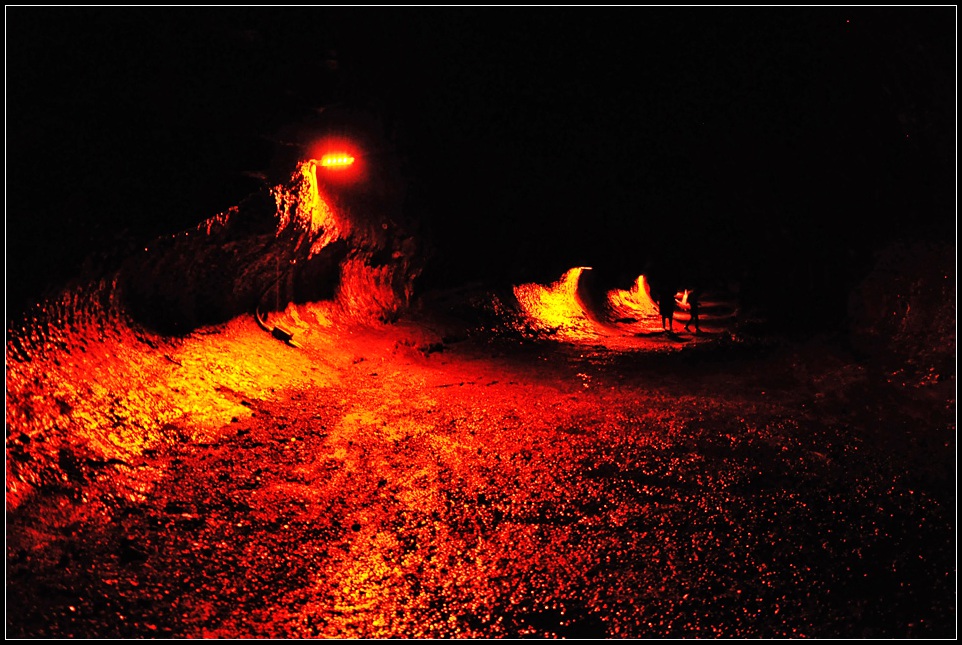 DSC_6581_1.jpg