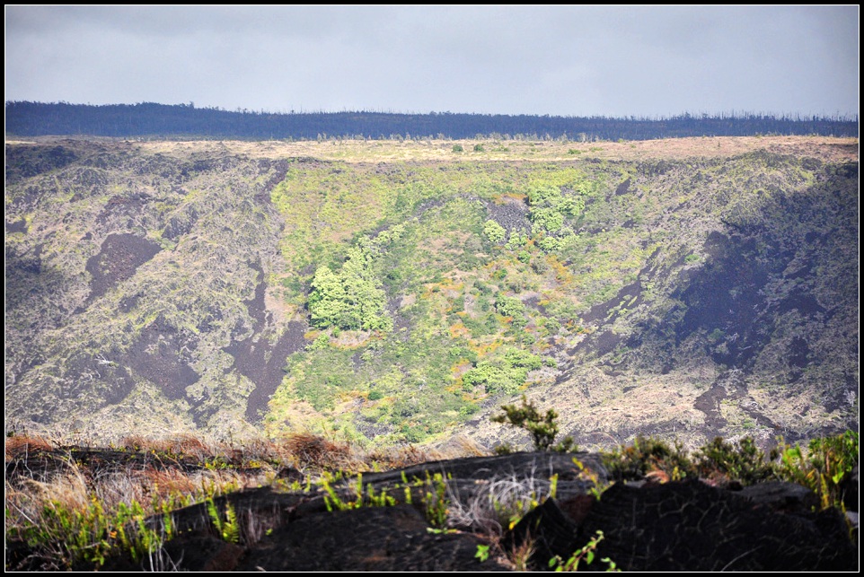 DSC_6861_1.jpg