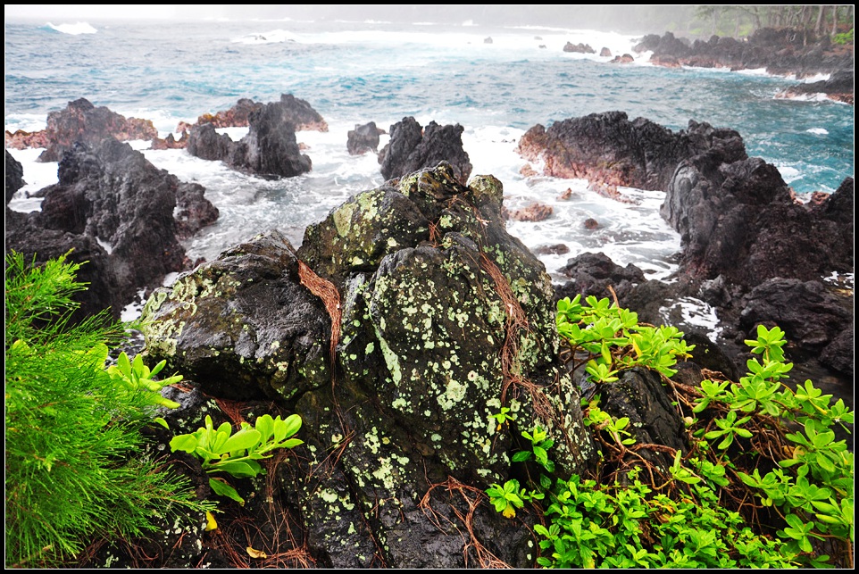 DSC_7666_1.jpg