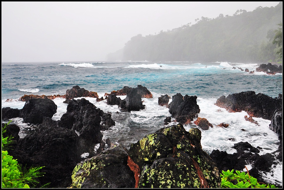 DSC_7668_1.jpg