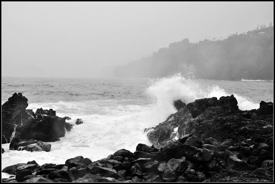 DSC_7708_1.jpg