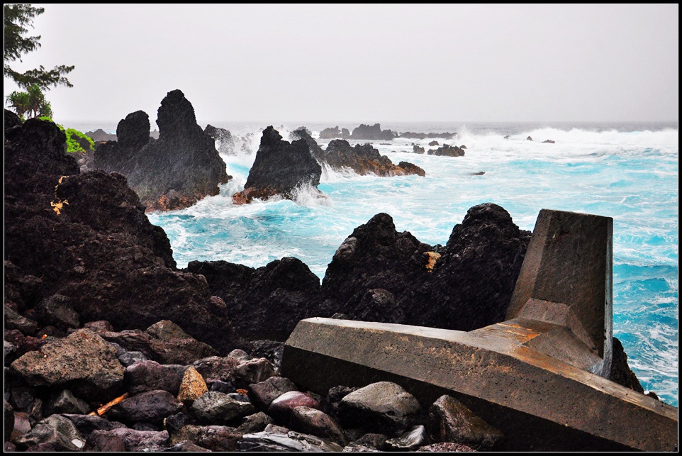 DSC_7718_1.jpg
