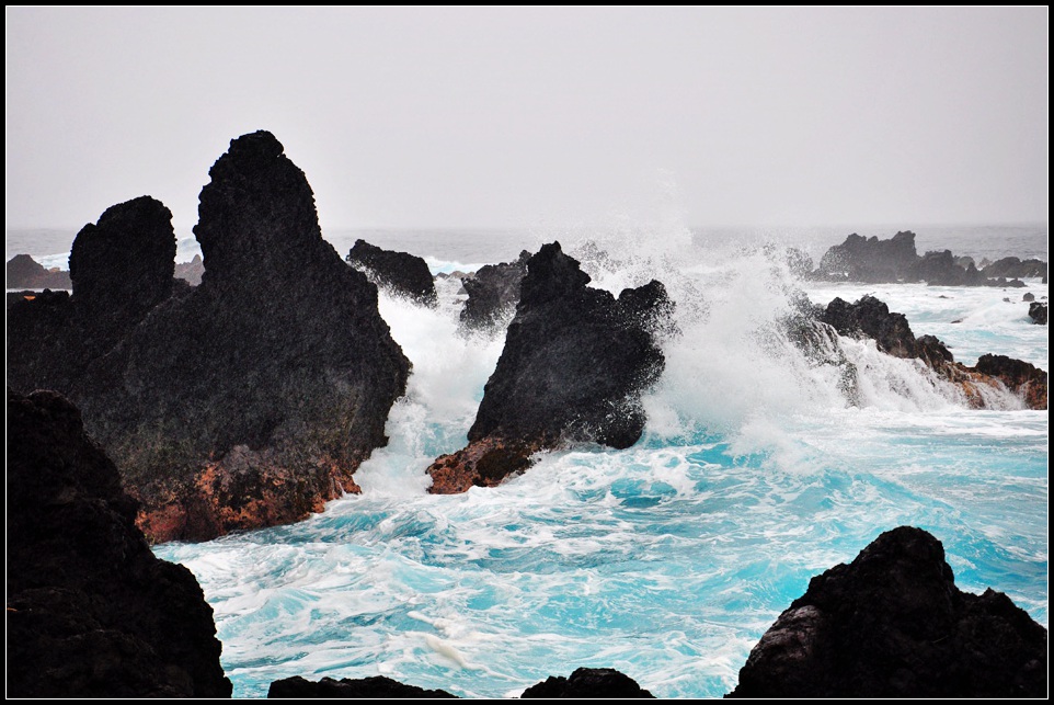 DSC_7730_1.jpg