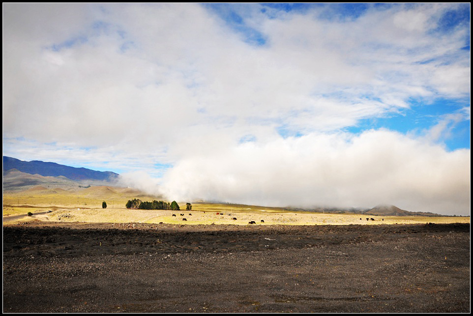 DSC_7093_1.jpg