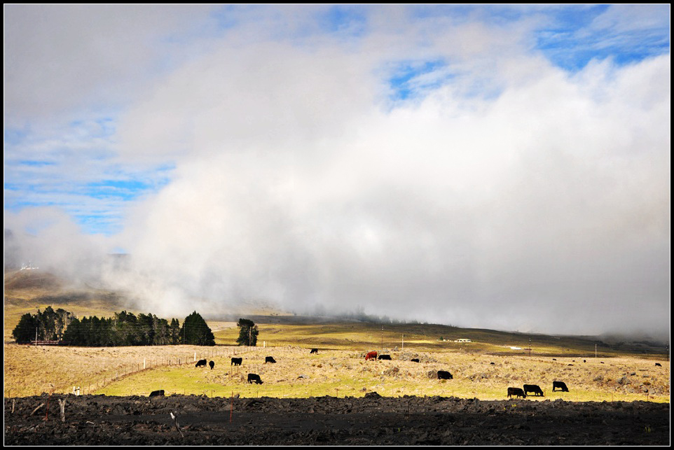 DSC_7094_1.jpg