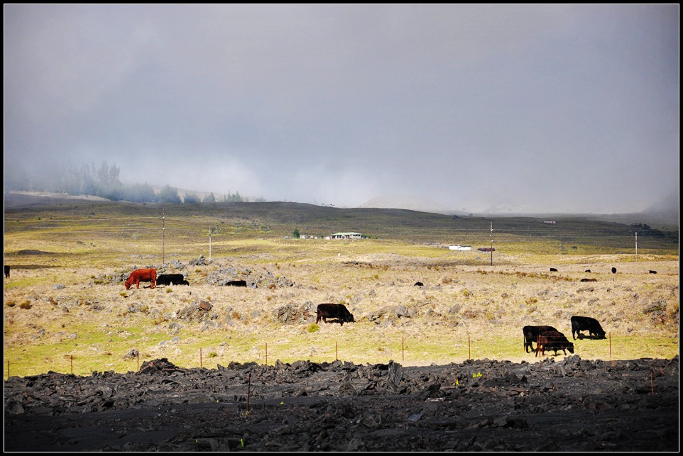 DSC_7098_1.jpg