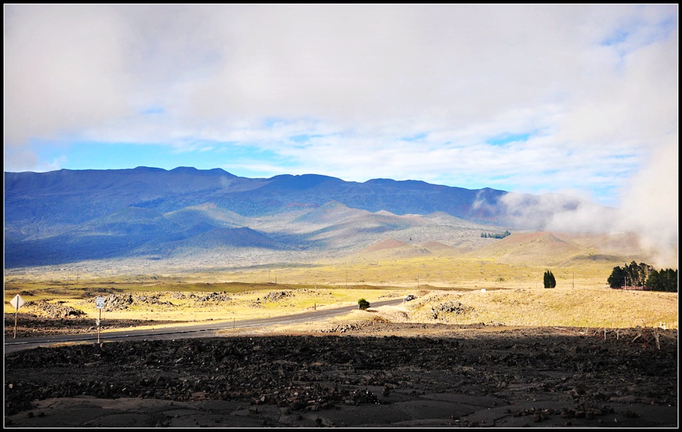 DSC_7099_1.jpg