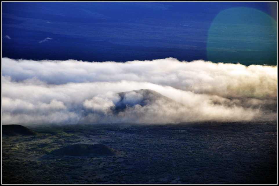 DSC_7222_1.jpg