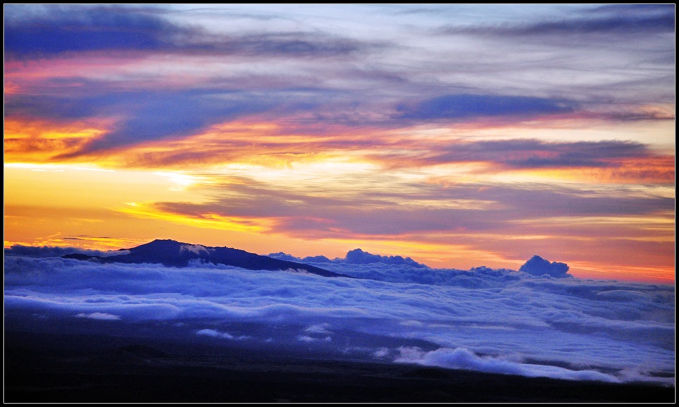 DSC_7416_1.jpg