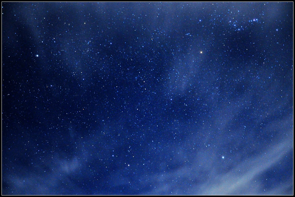 DSC_7450_1.jpg