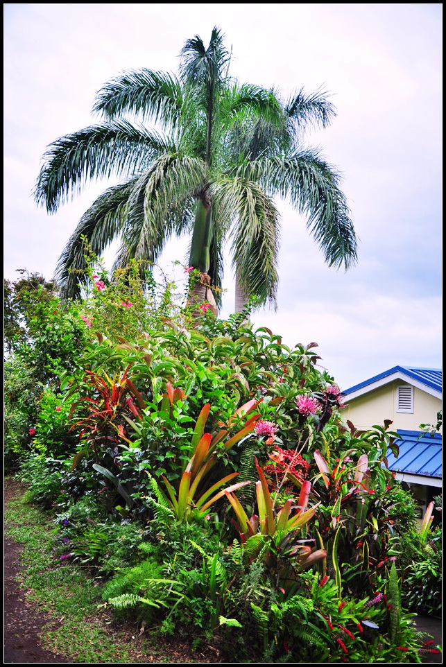 DSC_7827_1.jpg