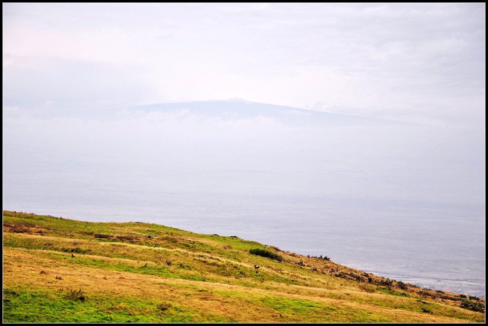 DSC_7902_1.jpg