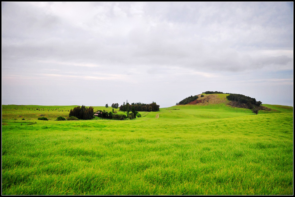 DSC_7918_1.jpg
