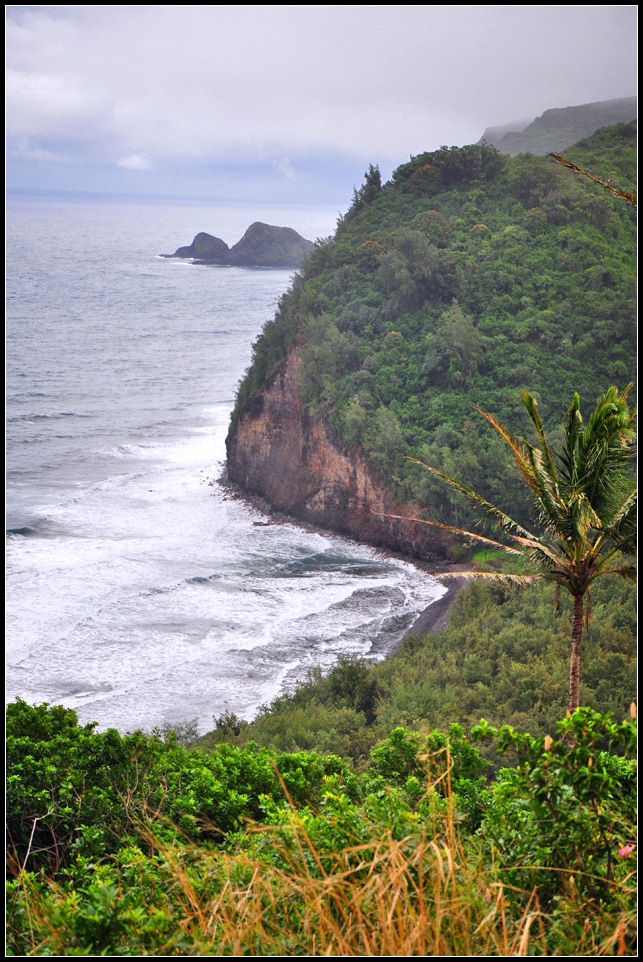 DSC_7930_1.jpg