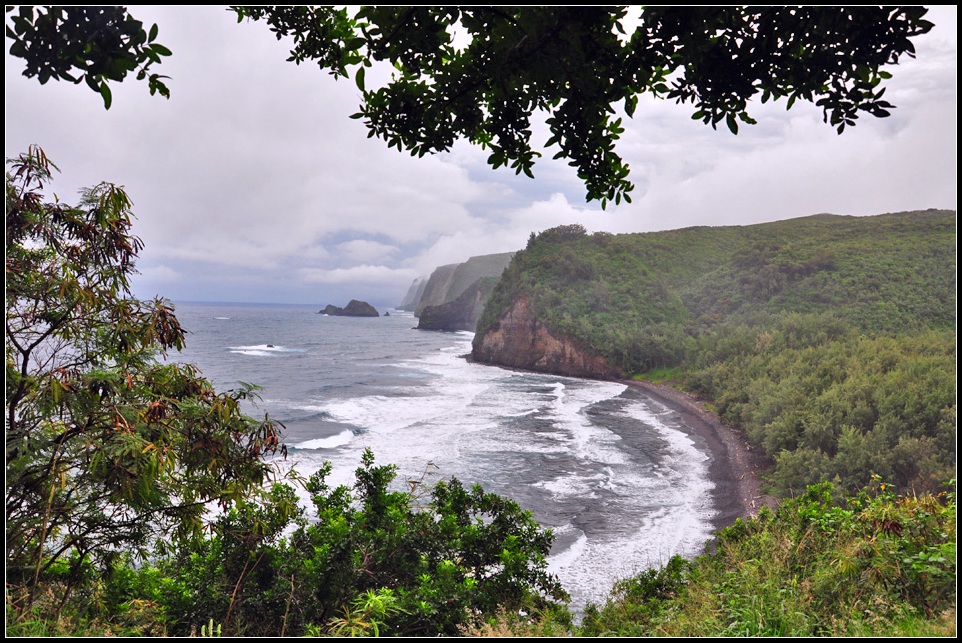 DSC_7968_1.jpg