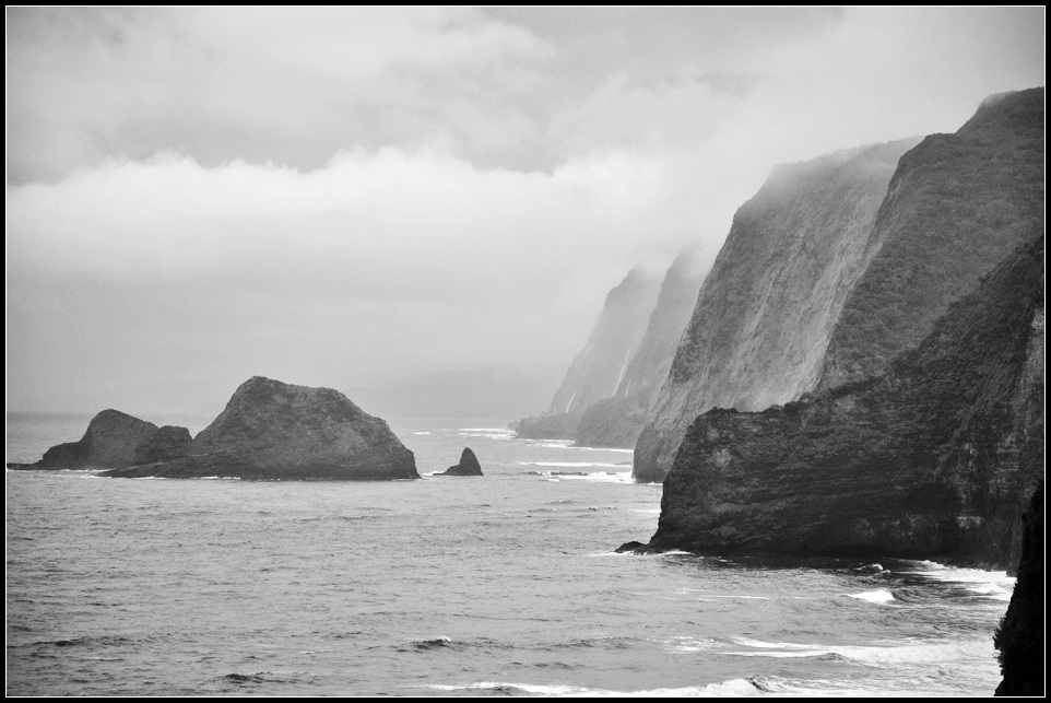 DSC_7976_1.jpg
