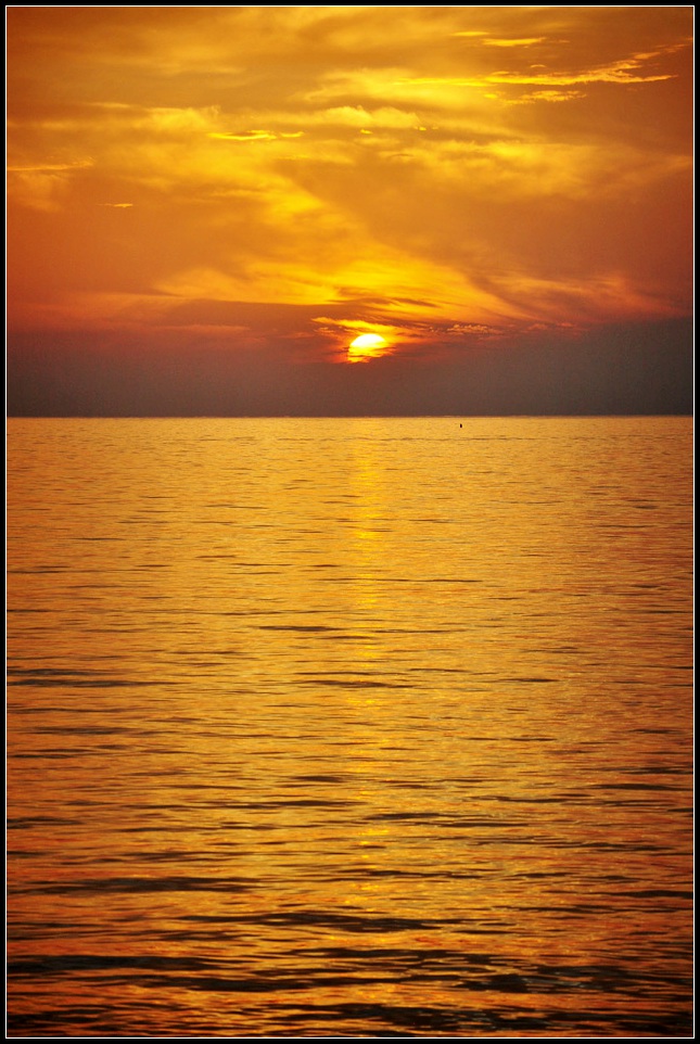 DSC_8079_1.jpg