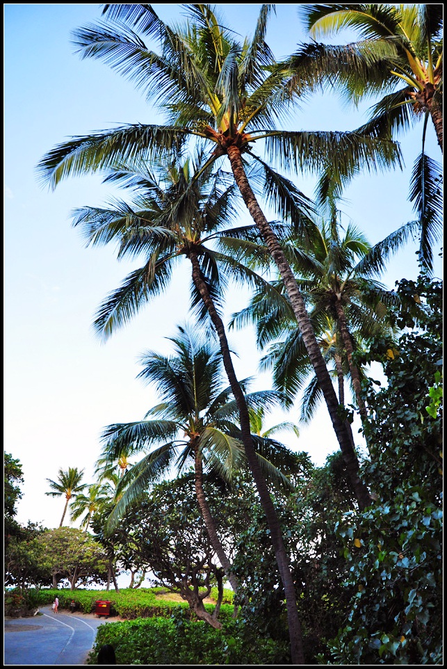 DSC_8175_1.jpg