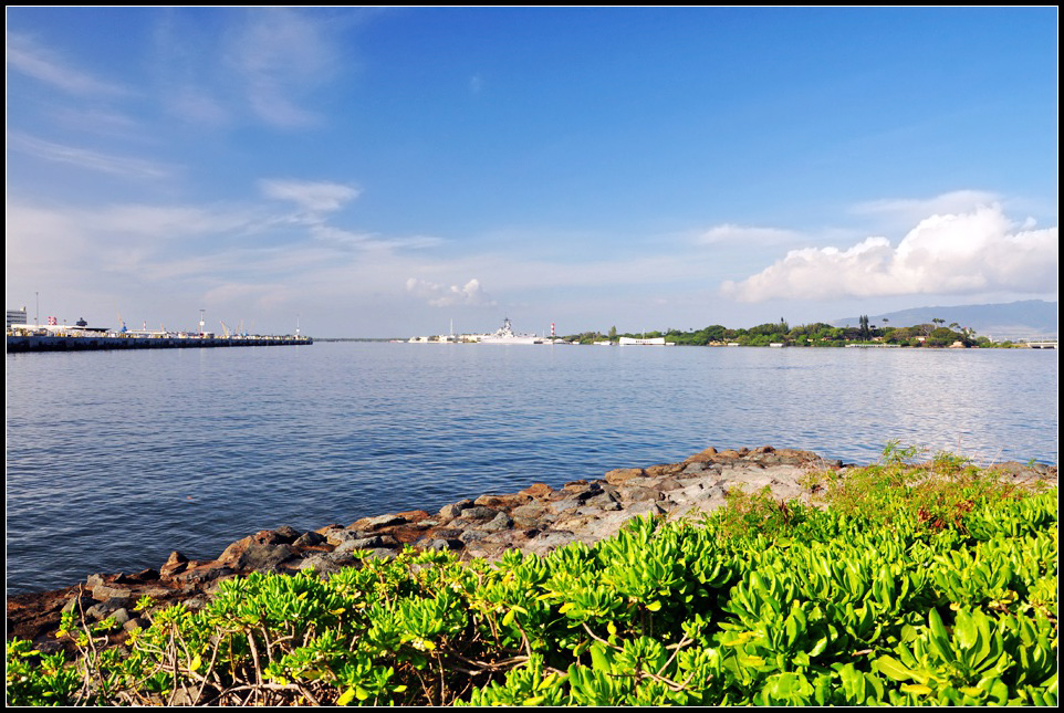 DSC_9025_1.jpg