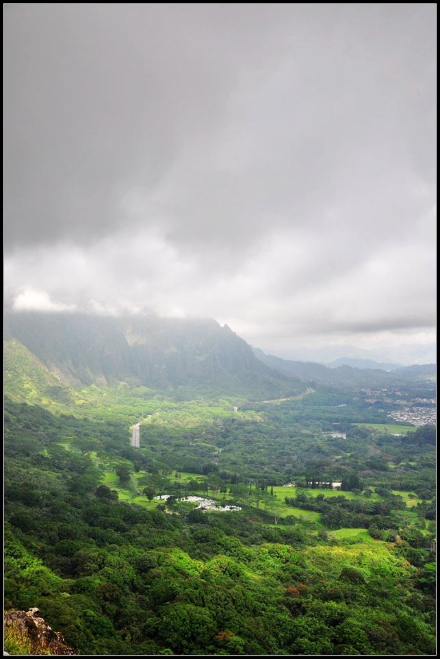 DSC_9089_1.jpg