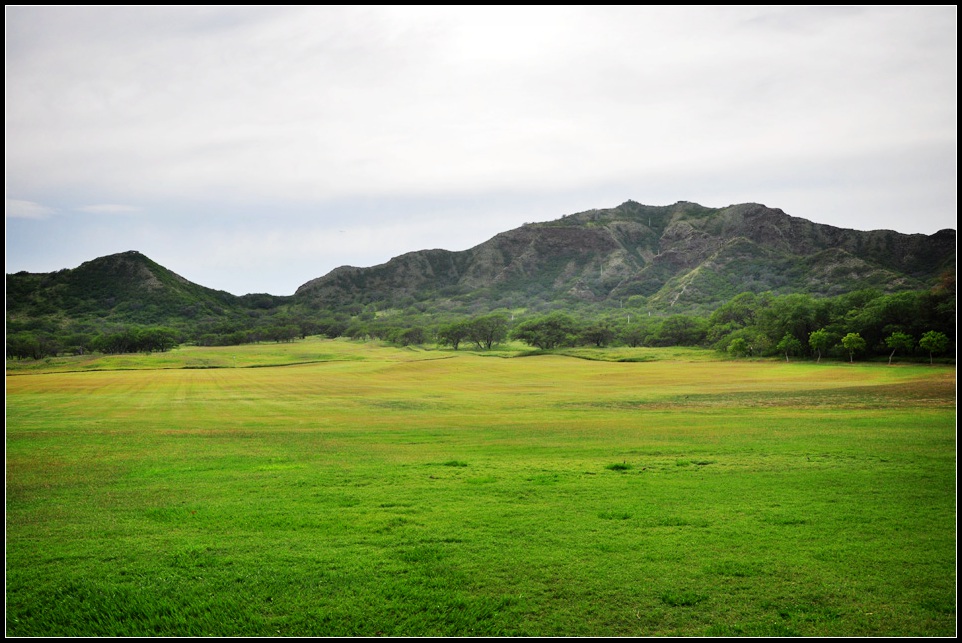 DSC_9423_1.jpg