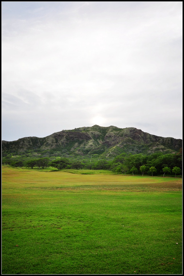 DSC_9517_1.jpg
