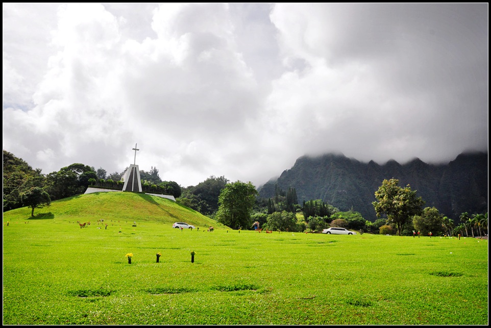 DSC_9849_1.jpg
