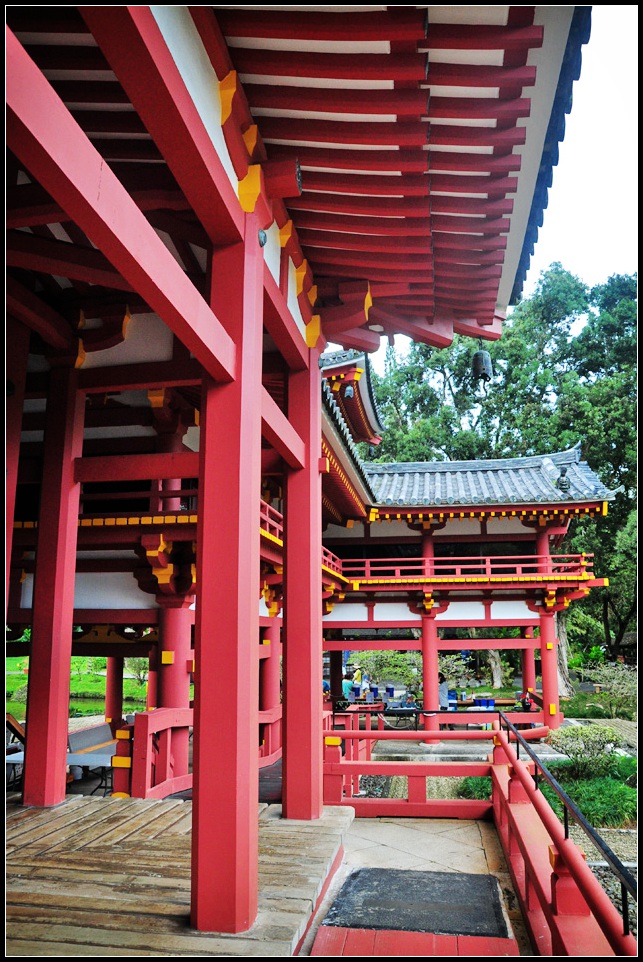 DSC_9907_1.jpg
