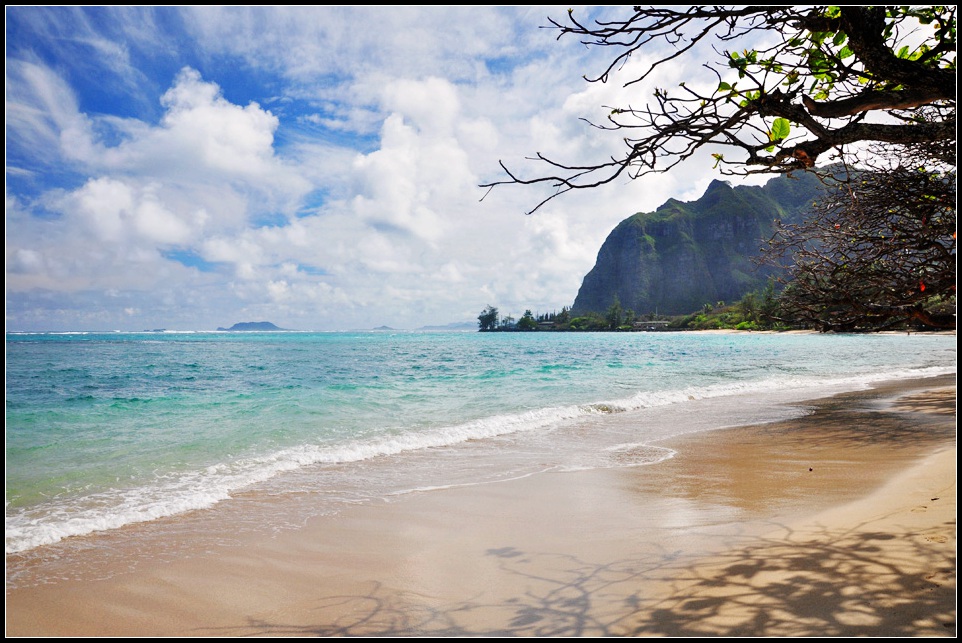 DSC_0044_1.jpg