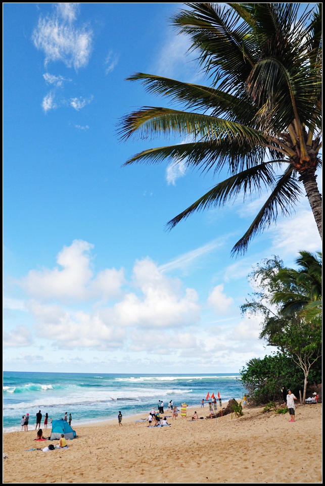 DSC_0106_1.jpg