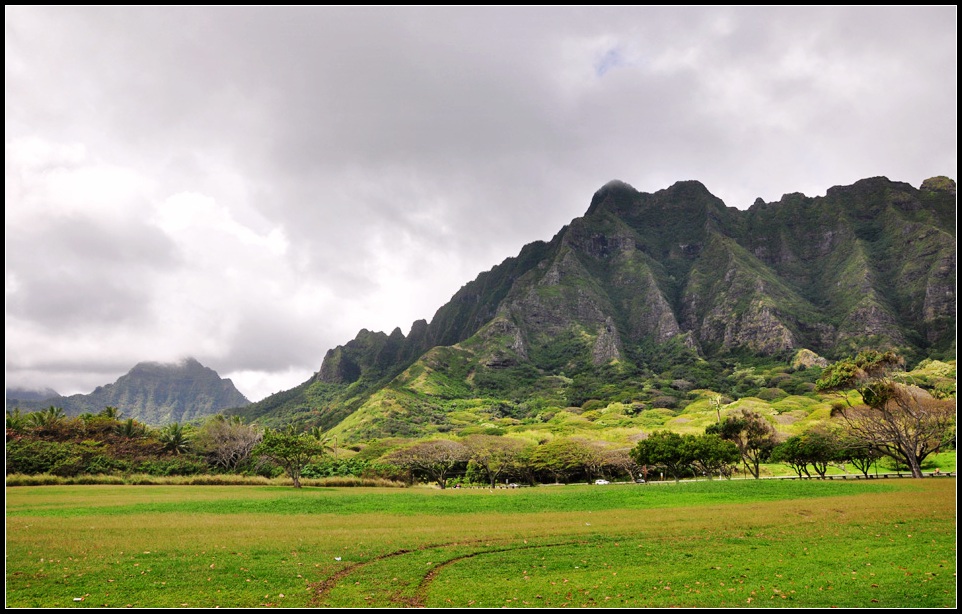 DSC_9959_1.jpg